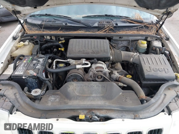 2001 Jeep Grand Cherokee Limited with VIN 1J4GW58N21C560302, listed as a IAAI auction lot 41072475 with 172,529 mi miles. Bid and sale history available at carsss.com. Image 10.