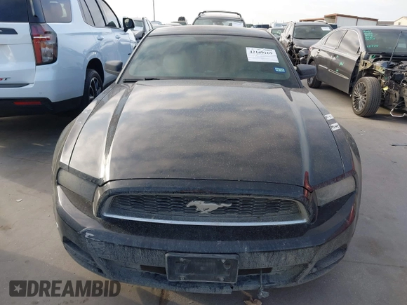 2014 Ford Mustang V6 with VIN 1ZVBP8AM3E5309764, listed as a IAAI auction lot 42169169 with 175,973 mi miles and . Bid and sale history available at DreamBid. Image 13.
