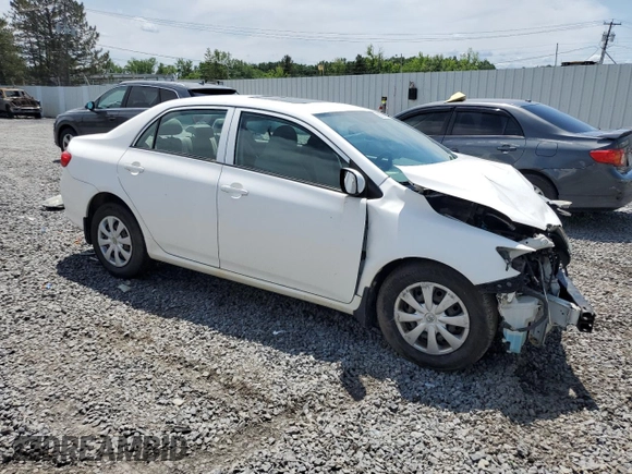 2010 Toyota Corolla with VIN 2T1BU4EE5AC277680, listed as a Copart auction lot 62550195 with Not provided miles and Salvage title. Bid and sale history available at DreamBid. Image 4.