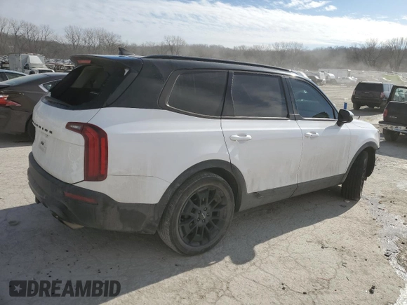 2022 Kia Telluride SX with VIN 5XYP5DHC7NG230867, listed as a Copart auction lot 42207465 with 64,800 mi miles and Salvage Title. Bid and sale history available at carsss.com. Image 3.