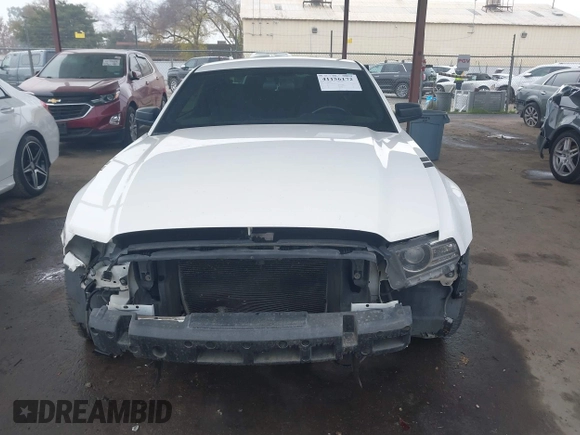 2013 Ford Mustang V6 with VIN 1ZVBP8AM8D5206791, listed as a IAAI auction lot 41156172 with 97,169 mi miles. Bid and sale history available at carsss.com. Image 13.