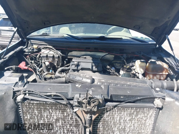 2007 Ford F-150 XLT with VIN 1FTPW14V87KC58564, listed as a IAAI auction lot 42469762 with 168,314 mi miles and . Bid and sale history available at DreamBid. Image 10.