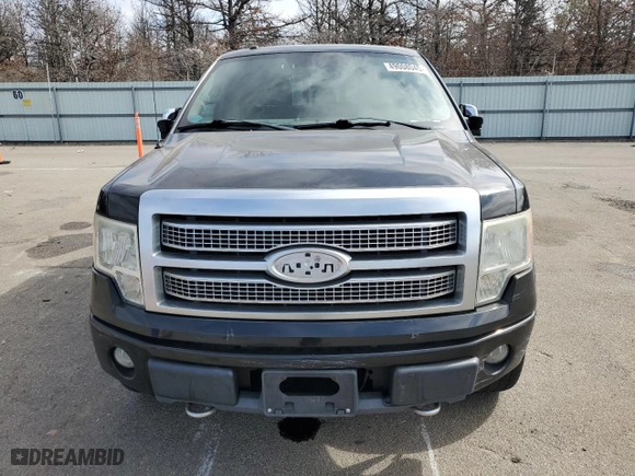 2011 Ford F-150 XL with VIN 1FTFW1EF0BFB07481, listed as a Copart auction lot 49008045 with 170,019 mi miles and Clean Title. Bid and sale history available at carsss.com. Image 5.