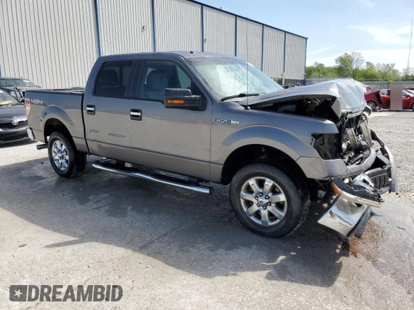 2013 Ford F-150 XL with VIN 1FTFW1EF3DFD32612, listed as a Copart auction lot 53959375 with 226,716 mi miles and Non repairable. Bid and sale history available at DreamBid. Image 4.
