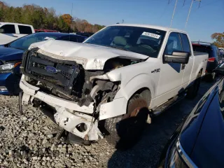 2013 Ford F-150 XL с VIN 1FTFX1CF0DFB79851, выставлен на аукционе Copart как лот 82870534 с пробегом 367 913 миль миль и Списание • Salvage title. История ставок и продаж доступна на DreamBid. Изображение 1.