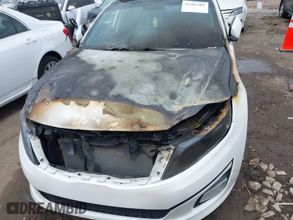 2015 Kia Optima EX with VIN 5XXGN4A71FG356581, listed as a IAAI auction lot 42365202 with Not provided miles and . Bid and sale history available at DreamBid. Image 6.