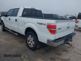 2009 Ford F-150 XL with VIN 1FTPW14V89FB30515, listed as a IAAI auction lot 41210636 with 220,187 mi miles. Bid and sale history available at carsss.com. Image 3.