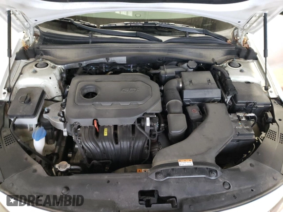 2018 Kia Optima LX with VIN KNAGT4L35J5216351, listed as a Copart auction lot 50174385 with 50,774 mi miles and Salvage Title. Bid and sale history available at DreamBid. Image 13.