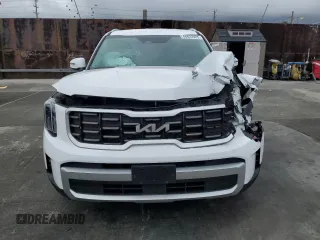 2024 Kia Telluride S with VIN 5XYP64GC0RG426069, listed as a Copart auction lot 48622925 with 19,529 mi miles and Salvage Title. Bid and sale history available at carsss.com. Image 5.