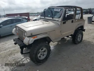 1995 Jeep Wrangler S with VIN 1J4FY19P8SP236649, listed as a Copart auction lot 81701344 with 172,586 mi miles and Salvage Title. Bid and sale history available at carsss.com. Image 1.