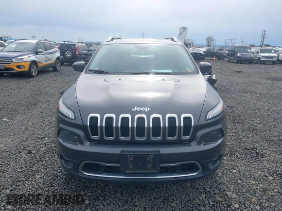 2015 Jeep Cherokee Limited with VIN 1C4PJMDS5FW550282, listed as a IAAI auction lot 41796297 with 96,374 mi miles and . Bid and sale history available at DreamBid. Image 13.