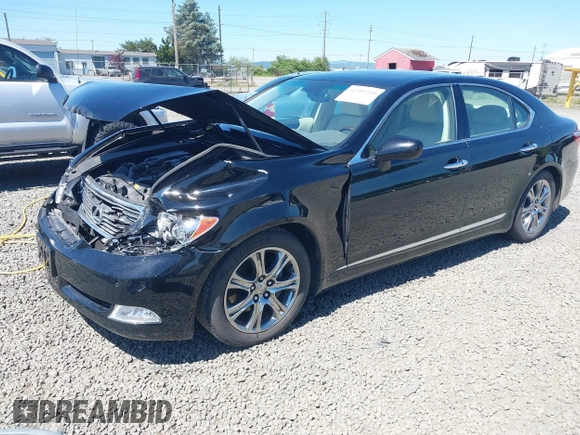 2007 Lexus LS 460 with VIN JTHBL46F775028750, listed as a IAAI auction lot 42381110 with 59,941 mi miles and . Bid and sale history available at DreamBid. Image 17.