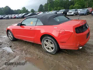 2013 Ford Mustang V6 with VIN 1ZVBP8EM3D5203940, listed as a Copart auction lot 55064825 with 129,334 mi miles and Salvage title. Bid and sale history available at DreamBid. Image 2.