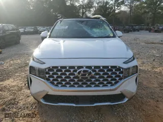 2021 Hyundai Santa Fe Limited with VIN 5NMS44AL7MH316966, listed as a Copart auction lot 45665785 with 60,176 mi miles and Salvage Title. Bid and sale history available at carsss.com. Image 5.