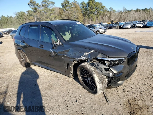 2022 BMW X5 sDrive40i with VIN 5UXCR4C02N9J39621, listed as a Copart auction lot 87696995 with 0 mi miles and Salvage Title. Bid and sale history available at carsss.com. Image 4.