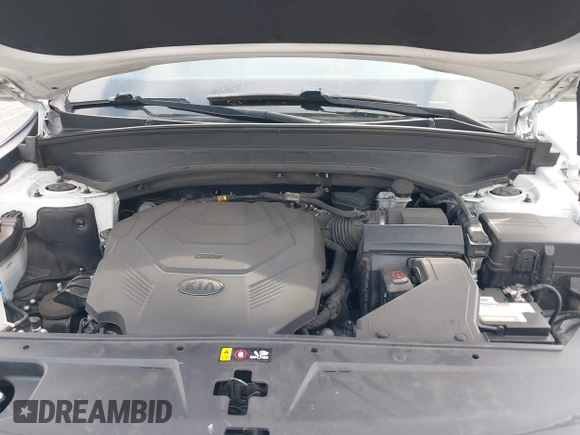 2020 Kia Telluride EX с VIN 5XYP34HC6LG001244, выставлен на аукционе IAAI как лот 42690195 с пробегом 116 827 миль миль и . История ставок и продаж доступна на DreamBid. Изображение 10.
