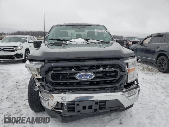 2021 Ford F-150 XL with VIN 1FTMF1EB1MKF07449, listed as a Copart auction lot 37636924 with 43,361 mi miles and . Bid and sale history available at DreamBid. Image 5.