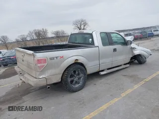 2010 Ford F-150 XL with VIN 1FTEX1CW6AFA77378, listed as a IAAI auction lot 41710467 with 203,080 mi miles. Bid and sale history available at carsss.com. Image 4.