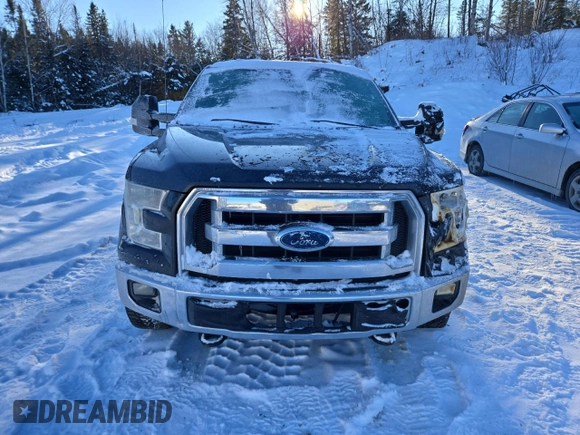 2015 Ford F-150 XLT with VIN 1FTEW1E83FFC62819, listed as a Copart auction lot 88493345 with 295,867 mi miles and Salvage Title. Bid and sale history available at DreamBid. Image 5.