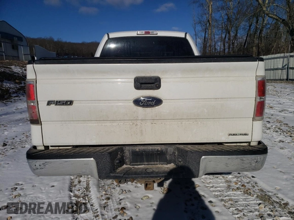 2013 Ford F-150 XL with VIN 1FTMF1EF2DKG12164, listed as a Copart auction lot 87856095 with 188,531 mi miles and Clean Title. Bid and sale history available at DreamBid. Image 6.