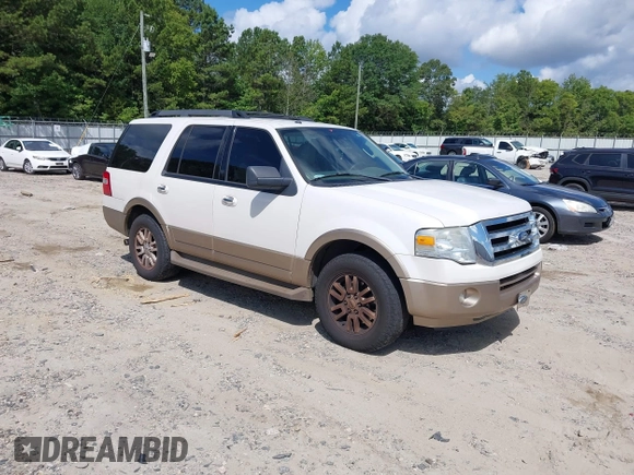 2013 Ford Expedition XLT with VIN 1FMJU1H51DEF14975, listed as a IAAI auction lot 42780599 with 195,174 mi miles and . Bid and sale history available at DreamBid. Image 1.