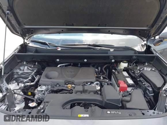2024 Toyota RAV4 XLE Premium z VIN 2T3C1RFVXRC295264, wystawiony jako IAAI lot #42229471 z przebiegiem 6 717 mil mil oraz . Historia ofert i sprzedaży dostępna na DreamBid. Obrazek 10.