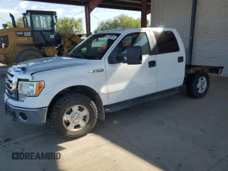 2010 Ford F-150 XL with VIN 1FTFW1EV7AFB32321, listed as a Copart auction lot 64143975 with 114,927 mi miles and Clean title. Bid and sale history available at DreamBid. Image 1.