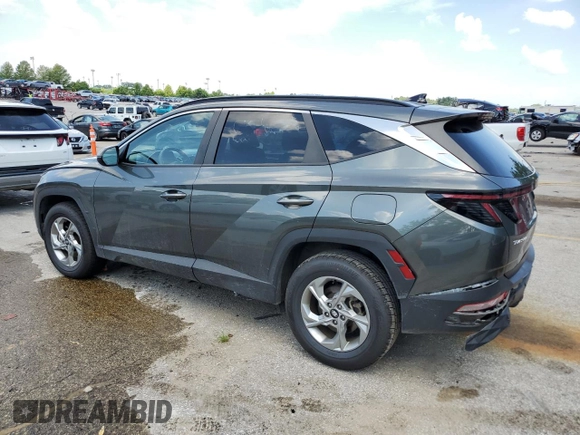 2023 Hyundai Tucson SEL with VIN 5NMJBCAEXPH209637, listed as a Copart auction lot 63222495 with 62,009 mi miles and Clean title. Bid and sale history available at DreamBid. Image 2.