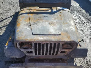 1995 Jeep Wrangler S with VIN 1J4FY19P9SP301556, listed as a Copart auction lot 42497725 with 0 mi miles and Salvage Title. Bid and sale history available at carsss.com. Image 12.