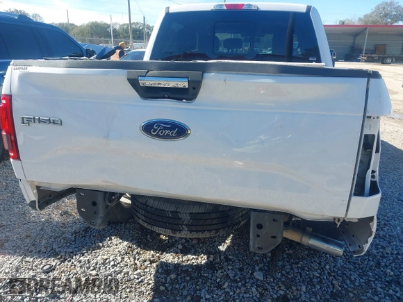 2016 Ford F-150 XL with VIN 1FTEW1CG4GKF39397, listed as a IAAI auction lot 41225215 with 109,090 mi miles and . Bid and sale history available at carsss.com. Image 6.