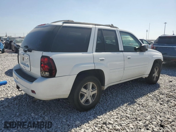 2006 Chevrolet TrailBlazer LS with VIN 1GNDT13S362343434, listed as a Copart auction lot 52205535 with 190,043 mi miles and Salvage Title. Bid and sale history available at DreamBid. Image 3.