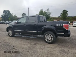 2009 Ford F-150 XL with VIN 1FTPW14V39FA46411, listed as a Copart auction lot 60041665 with 267,792 mi miles and Salvage title. Bid and sale history available at DreamBid. Image 2.
