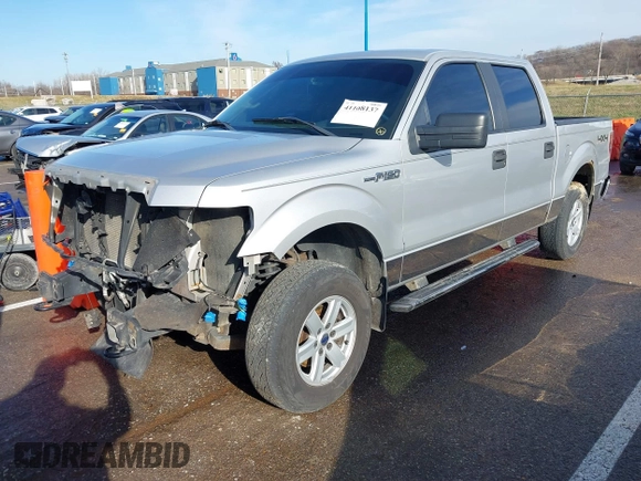2009 Ford F-150 XL with VIN 1FTPW14V69KC72949, listed as a IAAI auction lot 41108137 with 195,965 mi miles and . Bid and sale history available at DreamBid. Image 21.