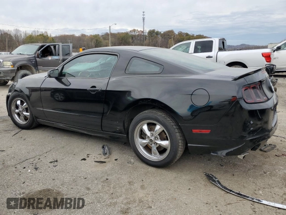 2013 Ford Mustang V6 with VIN 1ZVBP8AM7D5207785, listed as a Copart auction lot 80505444 with 180,901 mi miles and Salvage title. Bid and sale history available at DreamBid. Image 2.