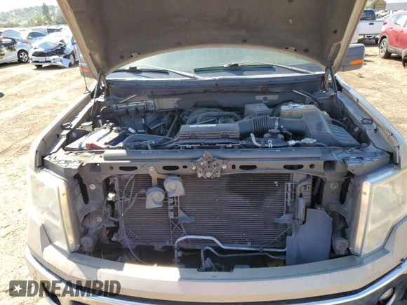 2010 Ford F-150 XL with VIN 1FTEW1C87AKA25821, listed as a Copart auction lot 49008285 with Not Provided miles and Salvage Title. Bid and sale history available at carsss.com. Image 11.