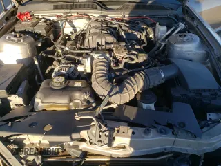 2009 Ford Mustang with VIN 1ZVHT80N795122341, listed as a Copart auction lot 80697973 with 123,219 mi miles and Salvage title. Bid and sale history available at DreamBid. Image 12.