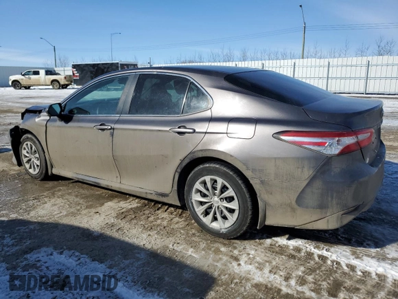 2020 Toyota Camry LE with VIN 4T1C11AK7LU358902, listed as a Copart auction lot 49436245 with 251,063 mi miles and Salvage Title. Bid and sale history available at carsss.com. Image 2.