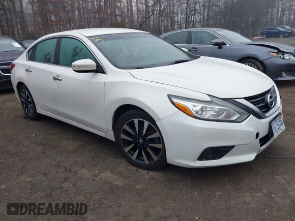2018 Nissan Altima S with VIN 1N4AL3AP5JC231653, listed as a IAAI auction lot 41052345 with 173,709 mi miles and . Bid and sale history available at DreamBid. Image 1.