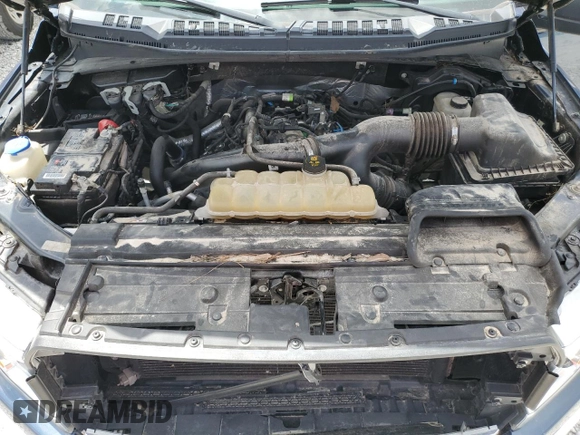 2019 Ford F-150 XL with VIN 1FTEX1EP1KKC63781, listed as a Copart auction lot 55036455 with 0 mi miles and Salvage Title. Bid and sale history available at carsss.com. Image 11.