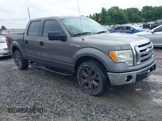 2011 Ford F-150 XL with VIN 1FTEW1CM9BFB85366, listed as a IAAI auction lot 42421727 with 257,243 mi miles and . Bid and sale history available at DreamBid. Image 1.