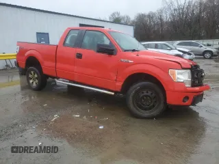 2013 Ford F-150 XL with VIN 1FTFX1EFXDFA24253, listed as a Copart auction lot 44145055 with Not Provided miles and Salvage Title. Bid and sale history available at DreamBid. Image 4.