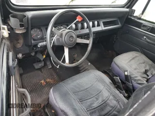 1994 Jeep Wrangler with VIN 1J4FY29S9RP422835, listed as a Copart auction lot 61365235 with 183,566 mi miles and Clean title. Bid and sale history available at DreamBid. Image 8.