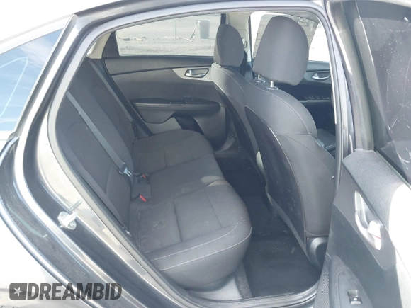 2019 Kia Forte LXS with VIN 3KPF24AD5KE062887, listed as a IAAI auction lot 41627225 with 118,119 mi miles. Bid and sale history available at carsss.com. Image 8.