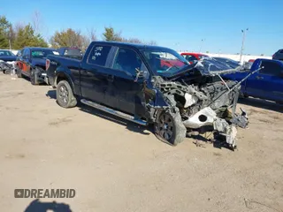 2009 Ford F-150 XL with VIN 1FTPW14V09FA65238, listed as a IAAI auction lot 41405685 with 265,983 mi miles. Bid and sale history available at carsss.com. Image 1.