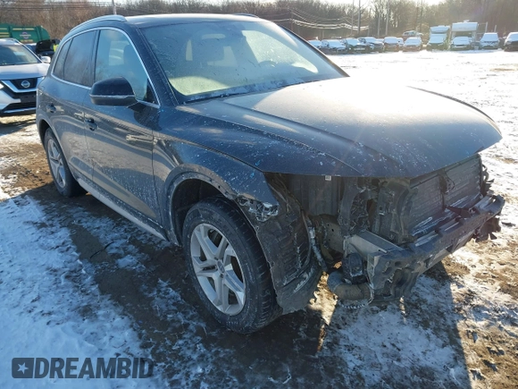 2019 Audi Q5 Premium with VIN WA1ANAFY9K2069635, listed as a IAAI auction lot 41252649 with 91,199 mi miles. Bid and sale history available at carsss.com. Image 17.