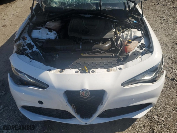 2019 Alfa Romeo Giulia with VIN ZARFANANXK7609739, listed as a Copart auction lot 72943294 with 0 mi miles and Salvage Title. Bid and sale history available at carsss.com. Image 12.