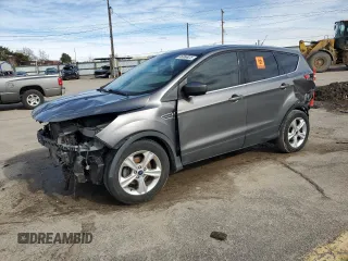 2014 Ford Escape SE with VIN 1FMCU0GX4EUE13796, listed as a Copart auction lot 46366925 with 161,255 mi miles and Salvage Title. Bid and sale history available at carsss.com. Image 1.
