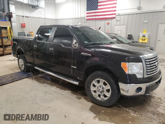 2011 Ford F-150 XLT with VIN 1FTFW1ET3BKE02555, listed as a Copart auction lot 51791675 with 206,065 mi miles and Salvage Title. Bid and sale history available at carsss.com. Image 4.