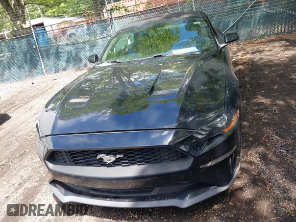 2018 Ford Mustang EcoBoost Premium z VIN 1FATP8UH4J5117856, wystawiony jako IAAI lot #42675106 z przebiegiem 110 587 mil mil oraz . Historia ofert i sprzedaży dostępna na DreamBid. Obrazek 12.