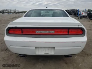 2013 Dodge Challenger R/T with VIN 2C3CDYBT9DH679344, listed as a Copart auction lot 52183435 with 123,261 mi miles and Salvage Title. Bid and sale history available at carsss.com. Image 6.
